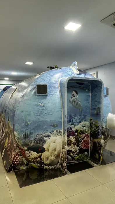 Entrada da câmara hiperbárica, fachada externa com pintura de recife de coral