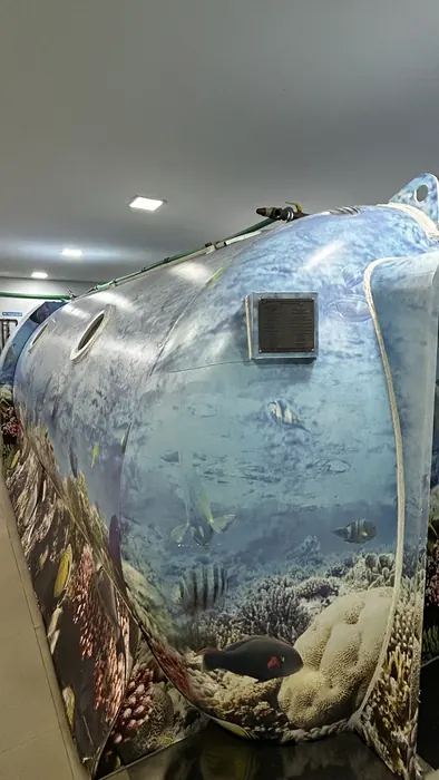 Lateral da câmara hiperbárica, com pintura temática de recife de coral